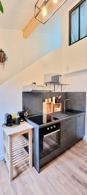 Le Duplex Catherine - Metro - Gare - Wifi Toulouse Dış mekan fotoğraf