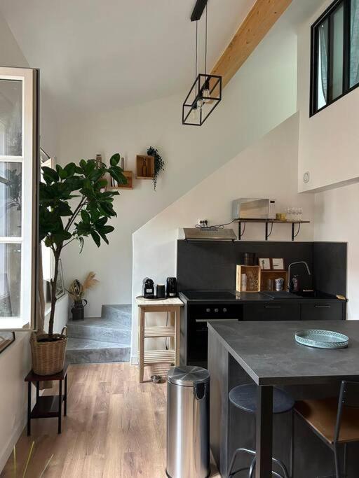 Le Duplex Catherine - Metro - Gare - Wifi Toulouse Dış mekan fotoğraf