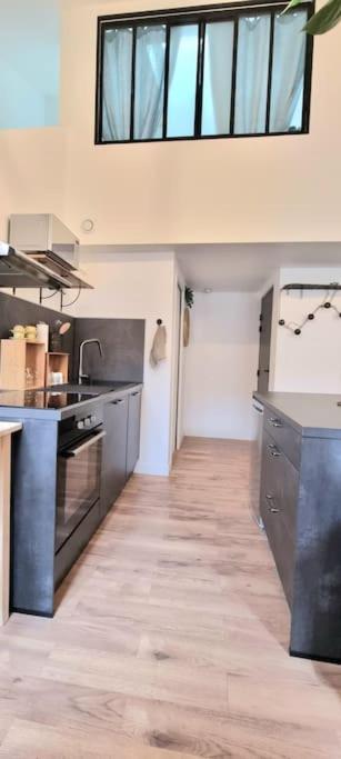 Le Duplex Catherine - Metro - Gare - Wifi Toulouse Dış mekan fotoğraf