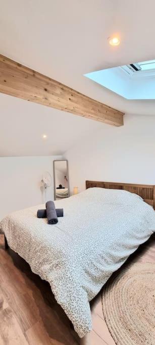 Le Duplex Catherine - Metro - Gare - Wifi Toulouse Dış mekan fotoğraf