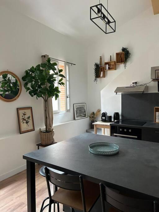 Le Duplex Catherine - Metro - Gare - Wifi Toulouse Dış mekan fotoğraf